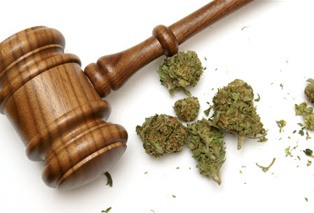 pot possession conviction on your criminal record