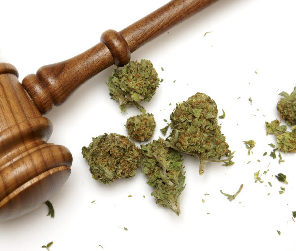 pardons-canada-pot-possession-conviction