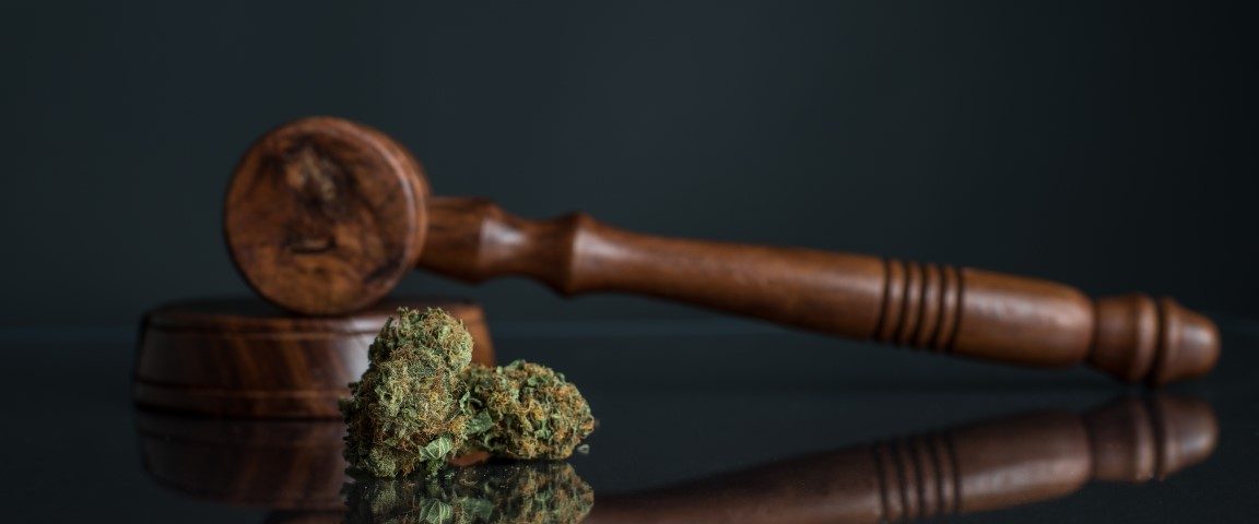 Image depicts a marijuana bundle and a gavel.
